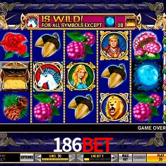 186bet Rio de Janeiro - Bonus Terms